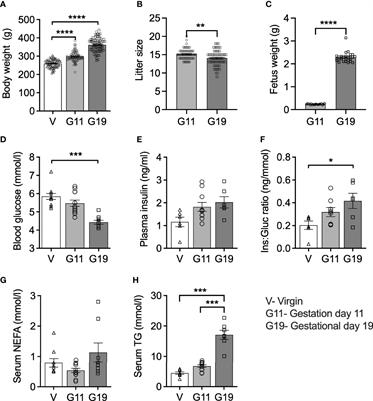 The Role of Fatty Acid Signaling in Islet Beta-Cell Adaptation to Normal Pregnancy